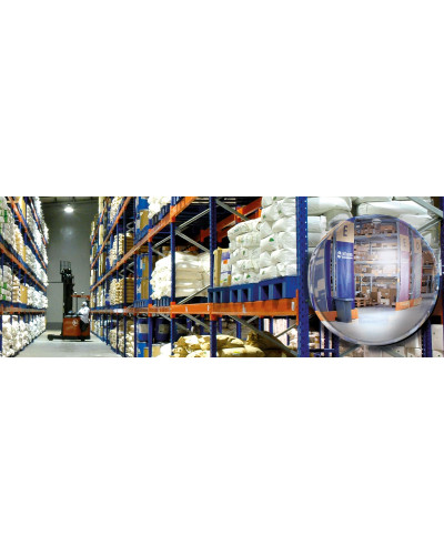 Buy Panorama Mirror 570 mm VIALUX 1/2 Sphere, POLYMIR & Spherical Mirrors Online