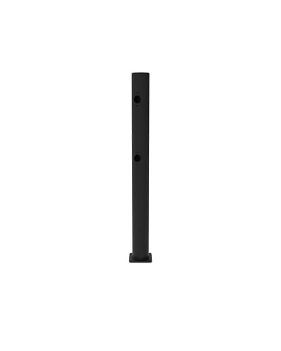 JULIET 22.5 degree angle center post Gate for Swing Doors diameter 110 x height  1200 mm, black, for Dowelling - INCAPCORP. Buy in the online store.