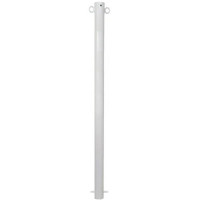 Bollard with chain eyelets, stationary, diameter 60 mm, hot-dip galvanized and white coated