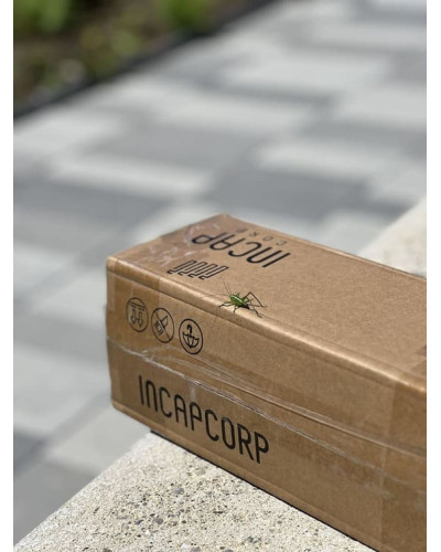 Bollards stainless steel Ø 89 mm stationary for installation in concrete. Buy in the online store.