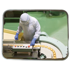 VIALUX Mirror for special environments, stainless steel 600x450mm - Stainless steel holder.