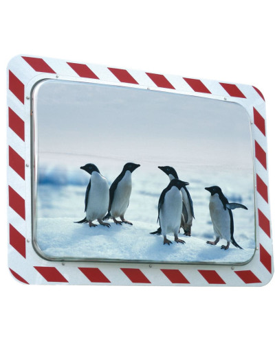 Buy Delivery Vialux Anti-Frost/Anti-Fog Mirror made of Stainless Steel red/white - 600x400mm - Shop Online.