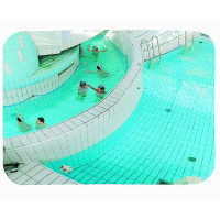 Vialux Swimming Pool Mirror 1000x800mm - Indoor Area - P.A.S.