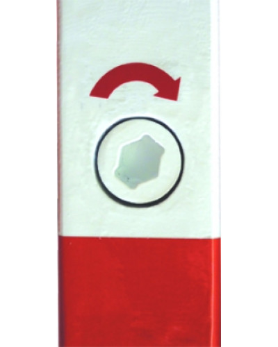 Shop Online for Removable Bollard Ø 70 x 70 mm with 1 Eyelet